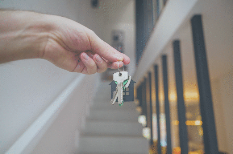 conveyancing & Wills solicitor