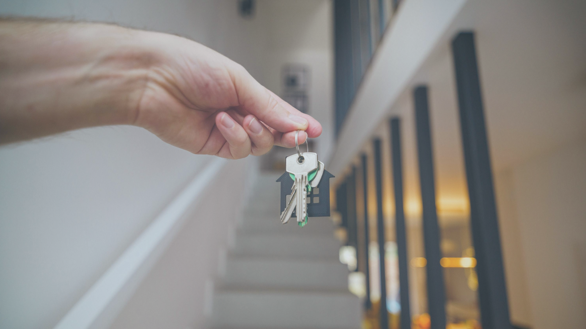 conveyancing & Wills solicitor